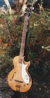 Starbass Ter2155.JPG