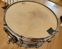 Kangaroo Hide Snare Head