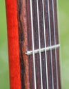 Fretboard SG.JPG