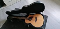 Ibanez 12 String AEW Series