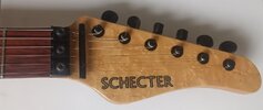 schecter8.jpg