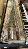 Fender Rhodes Mark 1 88 (Eighty Eight) zu verkaufen