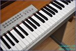 Yamaha P-120.JPG