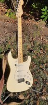 Fender Mexiko Standard Stratocaster mit sinnvoller mods.