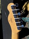 Fender CS Tele 90s_head back.jpg