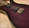 PRS SE Paul Allender - E-Gitarre des Cradle of Filth Artist.