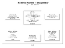 rodinia-puzzle_stagerider_2009-12_web.png