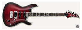 Suche Ibanez SAS36