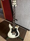 PRS S2 Standard 22 Antique White made in USA