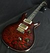 prs-kq-custom-24-&.jpg