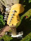 Fender Strat Plus.jpg