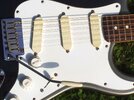 Fender Strat Plus.JPG