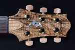 dolphin_spalted_&#1.jpg