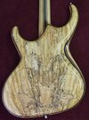 Alembic6..jpg