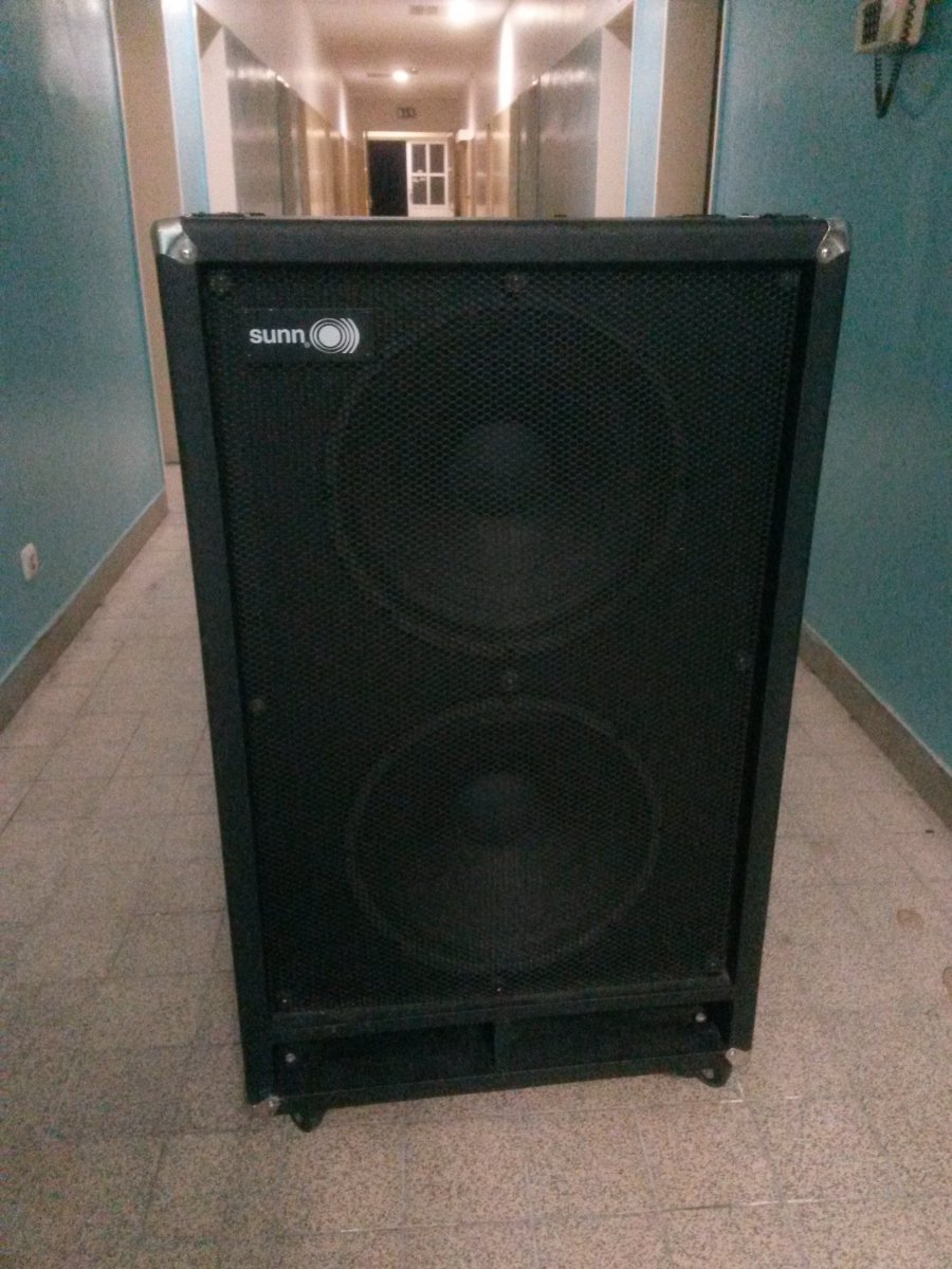 Sunn 2x15 Box Cabinet Musiker Board