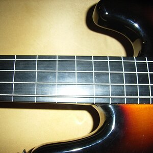 squier_fretless_spuren_2.jpg