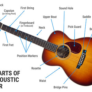 The-Parts-of-an-Acoustic-Guitar.jpg