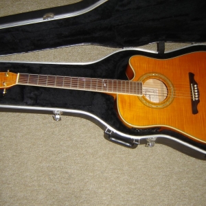 Gitarren