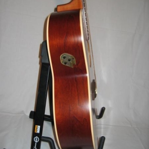 Seagull S6 mit Quantum Pickup Q1