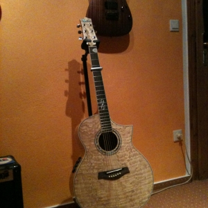 Gitarren und Co.