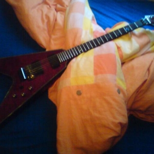 Meine Schecter