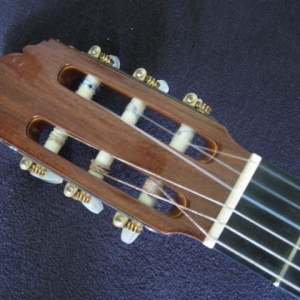 taurus Lutherie