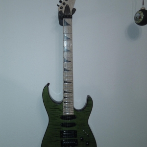 Warmoth Projekt