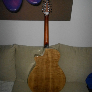 Breedlove Atlas Stage 350/EF-12