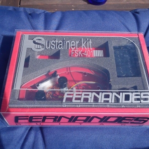 Fernandes FSK 401