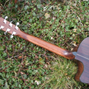 Harley Benton  A-Gitarre