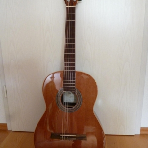 Meine Gitarren