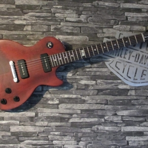 Gibson Les Paul Melody Maker 2014