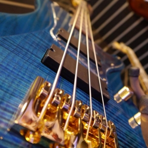 NAMM 2015 ESP Guitars