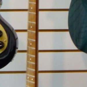 Rickenbacker 04_Elektro