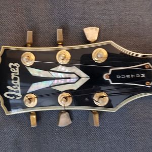 Ibanez Custom