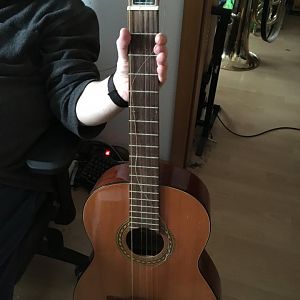 Höfner Gitarre