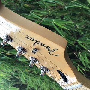 Fender Player Series