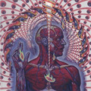 Lateralus