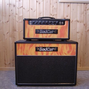 Die passende Box gibt es auch dazu.
Speaker sind modifizierte Celestion Vintage 30