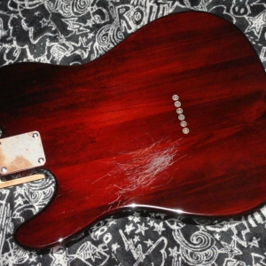 Squier Obey Standard Telecaster Rückansicht