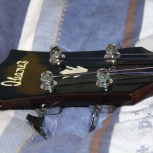 Ibanez Recorder 2381 (1)