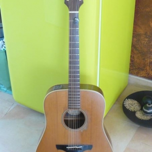 Takamine 455x685