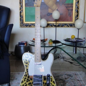 US Tele, modified with  Gotoh Bridge, Seymore Duncan and Bill Lawrence PU's