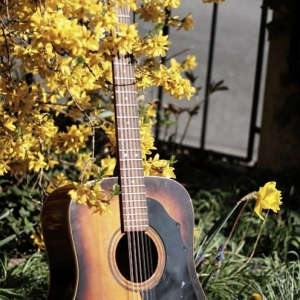 Meine Framus Texan (12) - um 1970 gebaut.