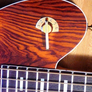 Der Framus Nashville Semi-Acoustic Bass mit Cocobolo-Decke und 6-fach Vari-Tone Switch. Durch den Push-Pull Volumenregler wird die Spule ein- und ausgeschaltet: der Mittenfilter wird so zur Tonblende, einem Höhenregler.