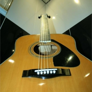 Yamaha FG-430