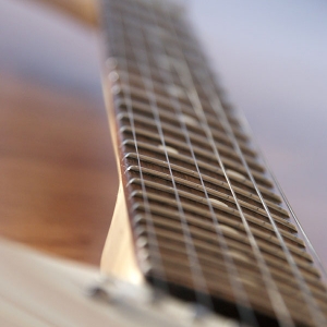 Stratocaster Fretboard