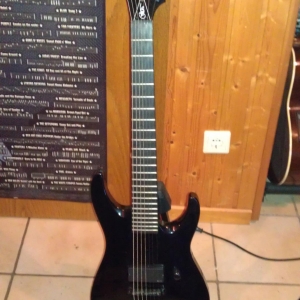 jackson COW 7 /w EMG 81-7

(verkauft)