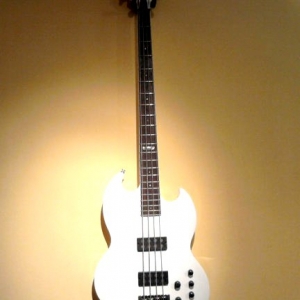 ESP - LTD 
VIPER 254 
2006