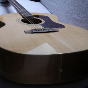 GUILD F-50 Standard